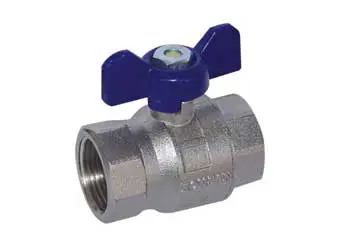 Küresel Vana Tam Geçişli Kelebek Kollu Dişi × Dişi