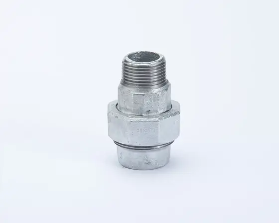 Kuyruklu Konik Rakor