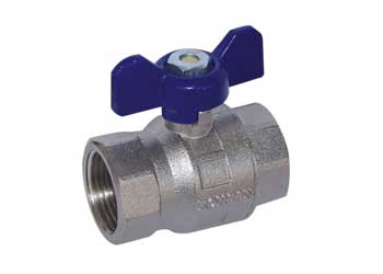 Küresel Vana Tam Geçişli Kelebek Kollu Dişi × Dişi